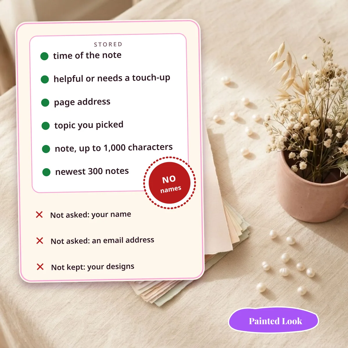 What the Painted Look feedback form stores, and that it asks for no name, email or design